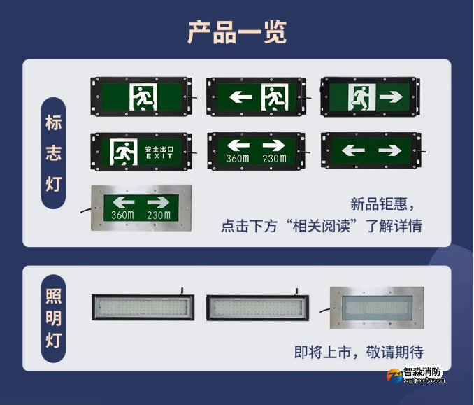海灣IP65系列高防護(hù)燈具產(chǎn)品